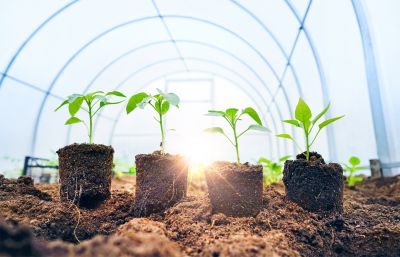 Putting Green Installation