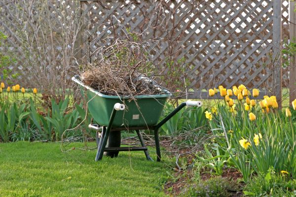 Flower Bed Cleanup Service in Bellingham