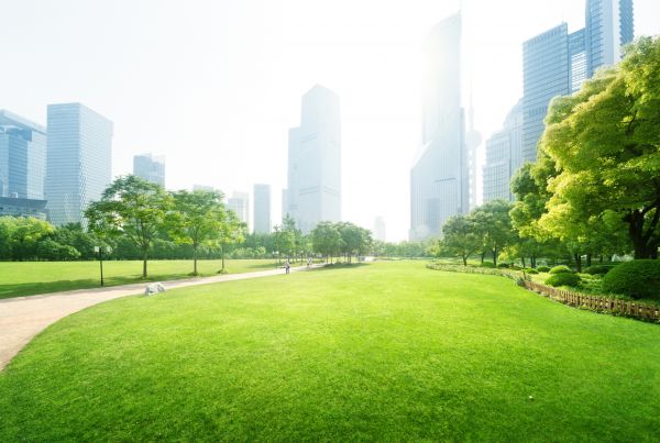 Commercial Landscape Maintenance in Bellingham