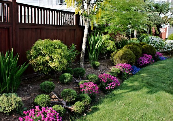 Garden Care Service in Bellingham