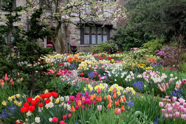 Garden Maintenance Service in Bellingham