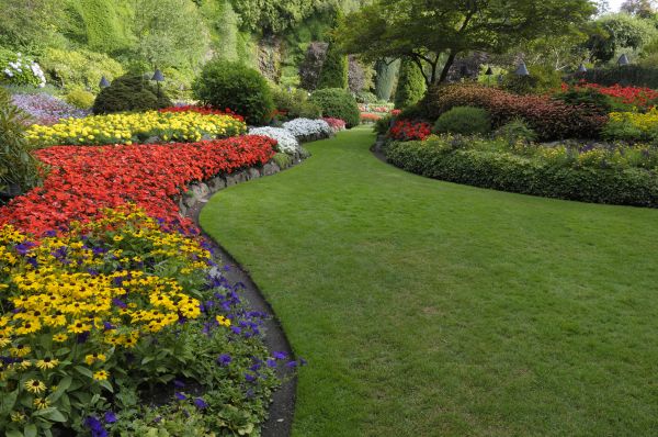 Landscaping Maintenance in Bellingham