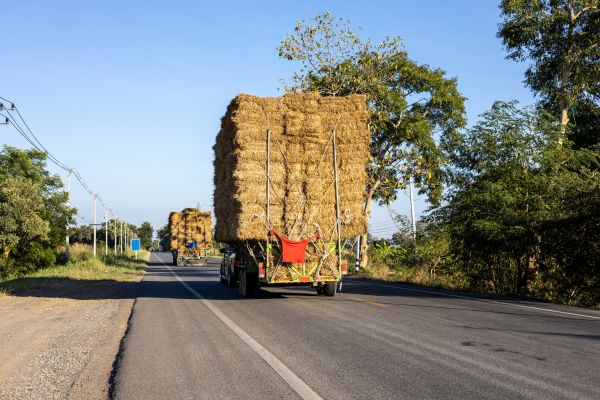 Pine Straw Delivery in Bellingham
