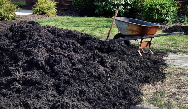 Black Mulch Delivery in Bellingham