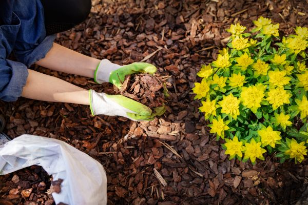 Garden Mulching in Bellingham