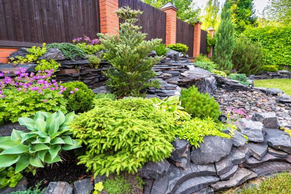 Landscape Remodeling in Bellingham