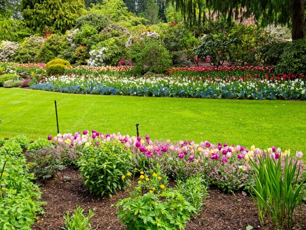 Residential Landscape Design in Bellingham