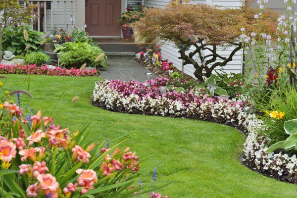 Perennial Landscaping in Bellingham
