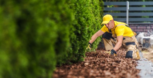 Cypress Mulch Installation in Bellingham