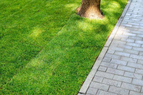 Border Stone Installation in Bellingham