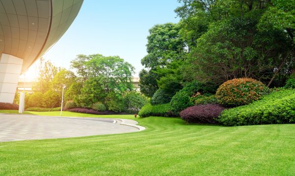 Business Landscape Design in Bellingham