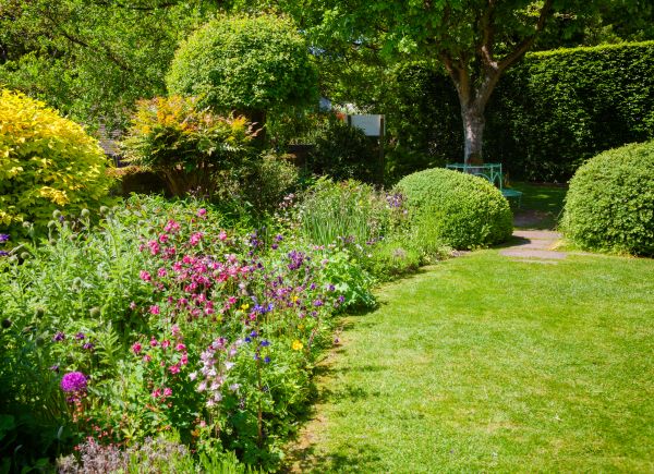 Yard Landscaping Service in Bellingham