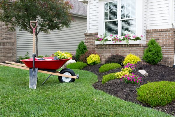 Tree And Shrub Planting in Bellingham