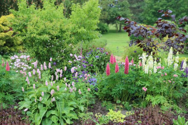 Flower Bed Planting in Bellingham