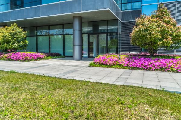 Commercial Gardening in Bellingham