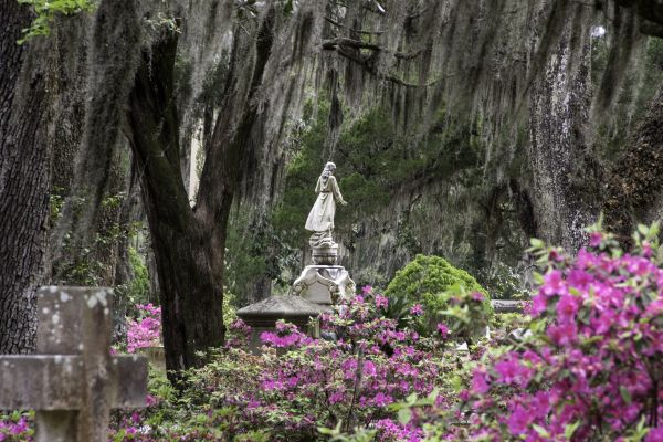 Cemetery Landscaping in Bellingham
