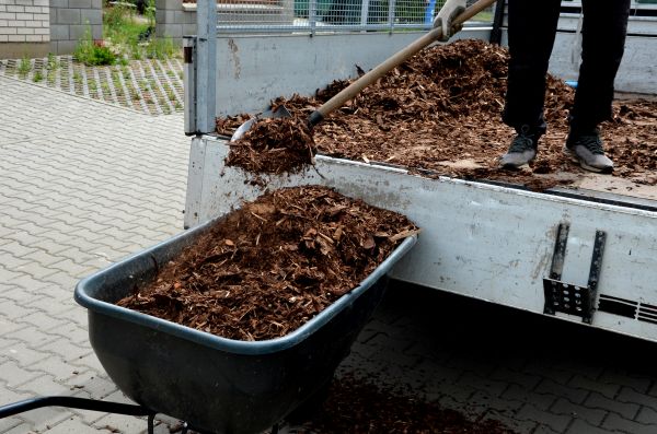Cypress Mulch Delivery in Bellingham