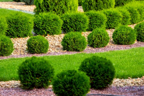 Bush Installation in Bellingham