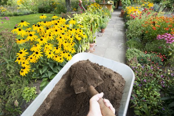 Topsoil Replacement in Bellingham