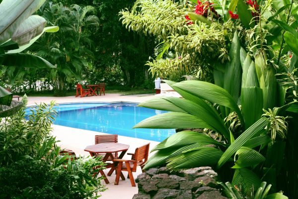 Pool Area Landscaping in Bellingham