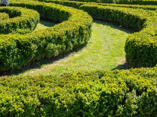 Bush Landscaping in Bellingham