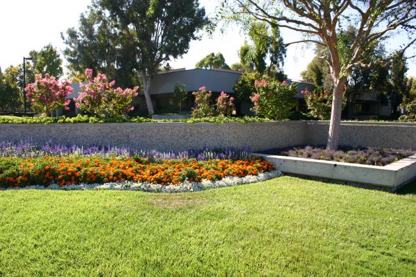 Commercial Landscape Service in Bellingham
