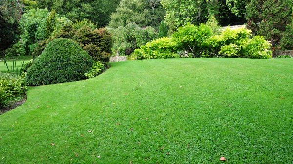 Commercial Landscape Design in Bellingham