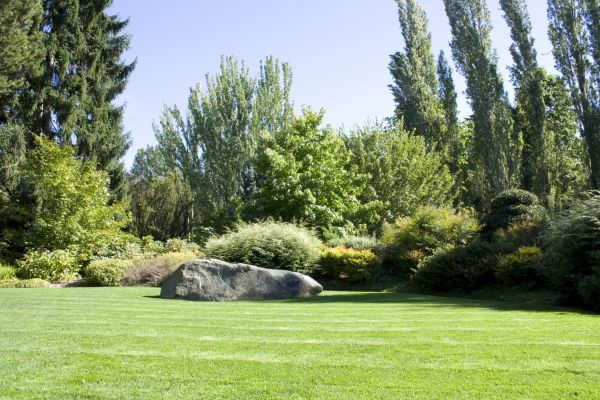 Yard Enlargement in Bellingham