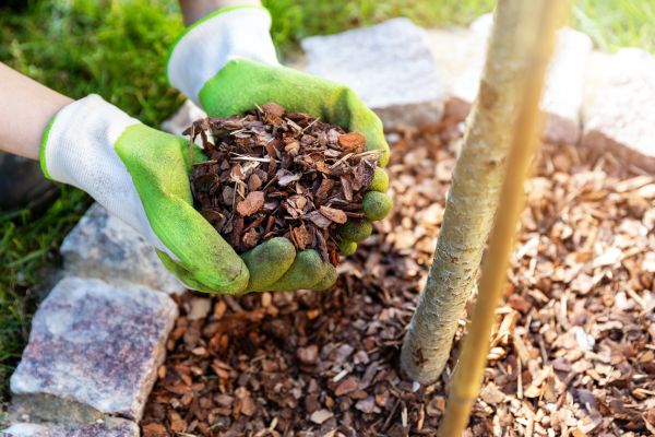 Tree Bark Delivery in Bellingham