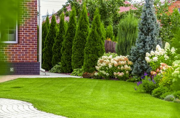 Spring Landscaping in Bellingham
