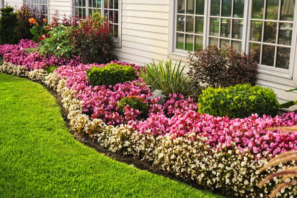 Garden Landscape Design in Bellingham