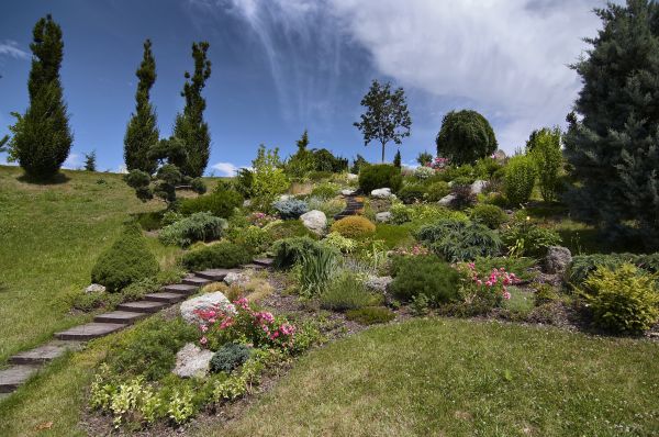 Steep Terrain Landscaping in Bellingham