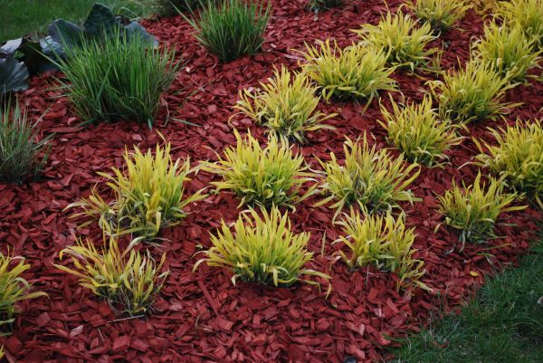 Red Mulch Installation in Bellingham