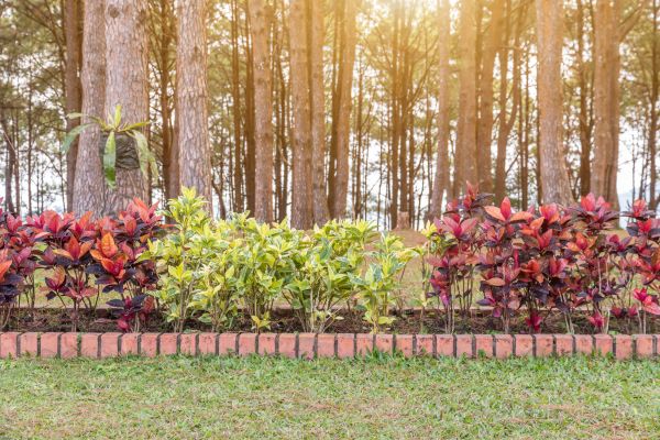 Small Garden Landscaping in Bellingham