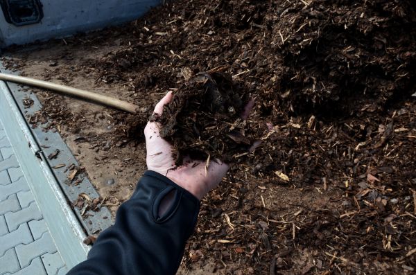 Condo Mulching in Bellingham