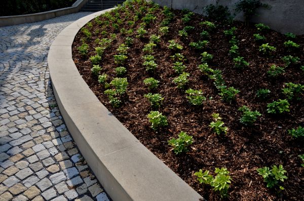 Commercial Mulching in Bellingham