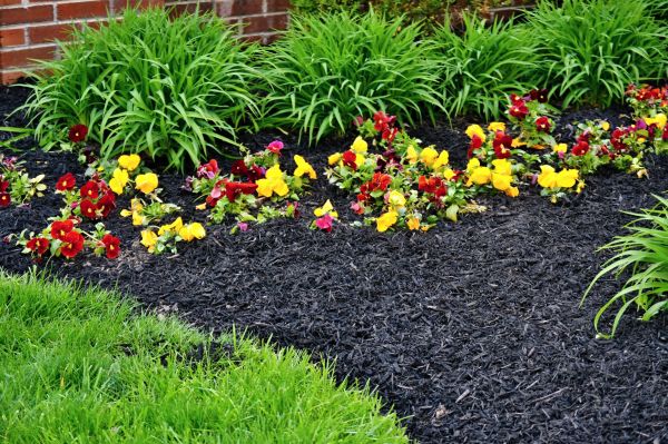 Apartment Mulching in Bellingham